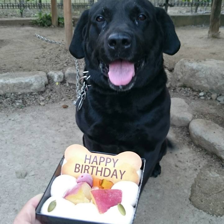 E65f379c e633 4974 a91f 3013a01a990d