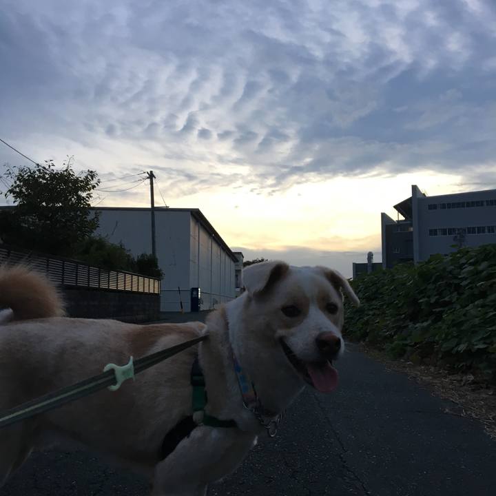 E65fa637 df92 4bfd a03f cd9a936f6c42