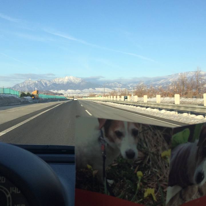 E65fe97b a658 4ef9 9558 0311dacf5860