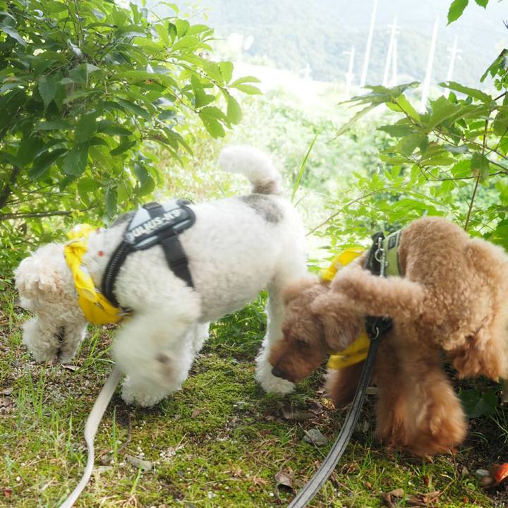 E65ff27b f560 48bb a100 0dcfe3a85a55