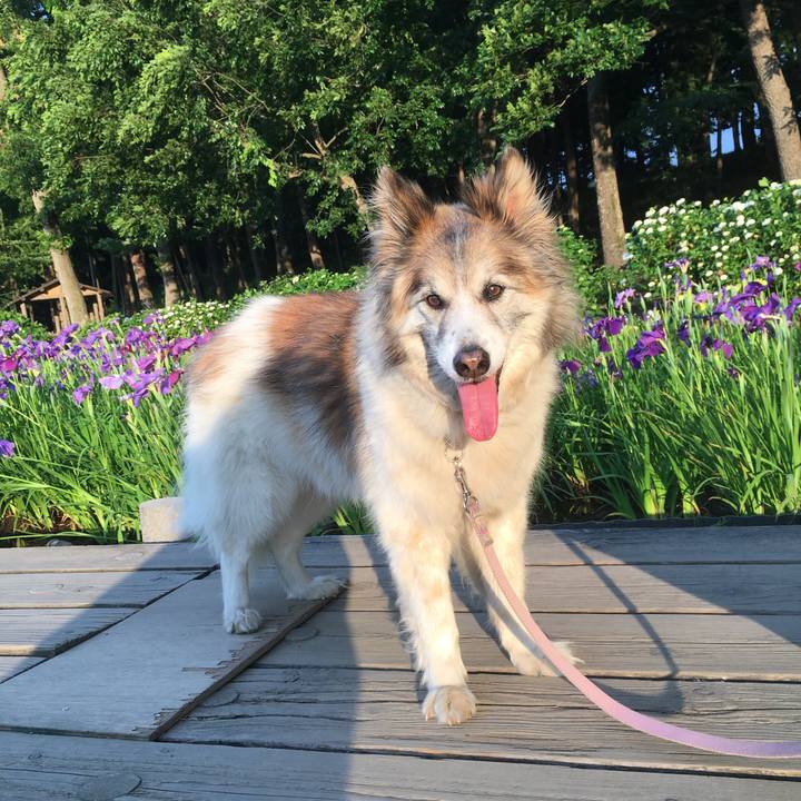 E65ffdcd 1319 4747 bc67 77e7740f6038