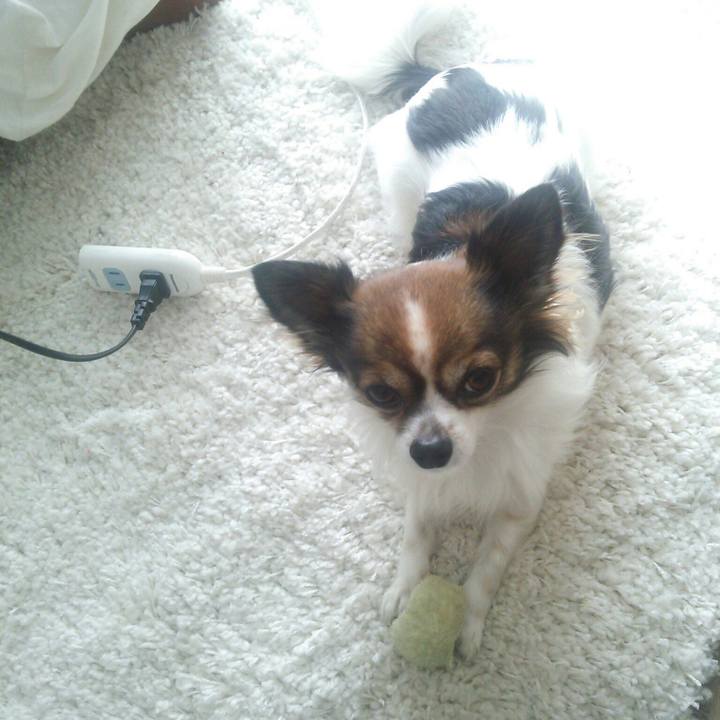 E660043e 64eb 4ffa 944d ea7998b5b5f7