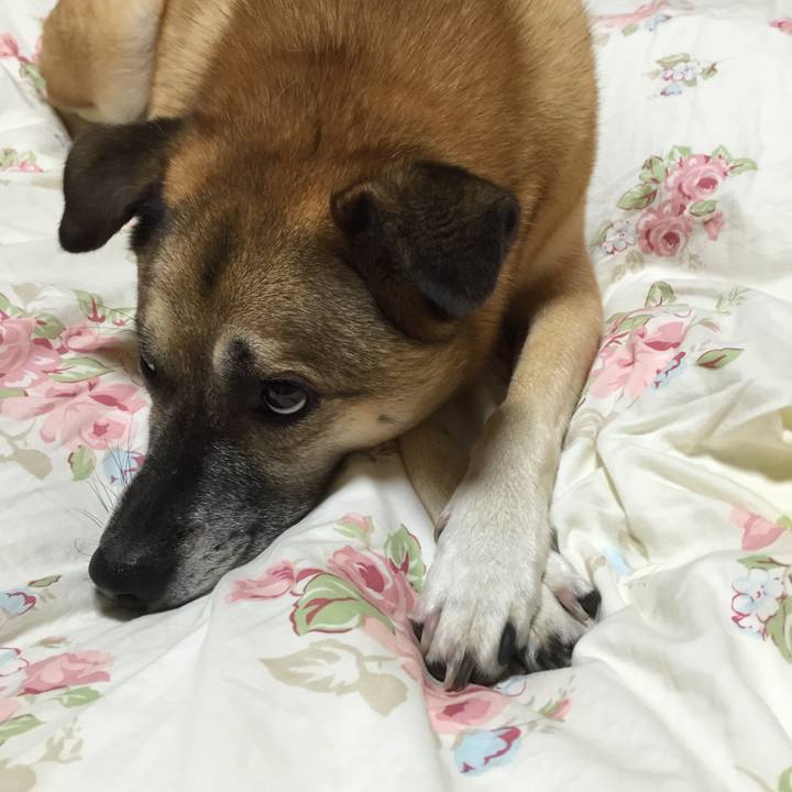 E6608758 da93 481a 8ff0 85158b33452c