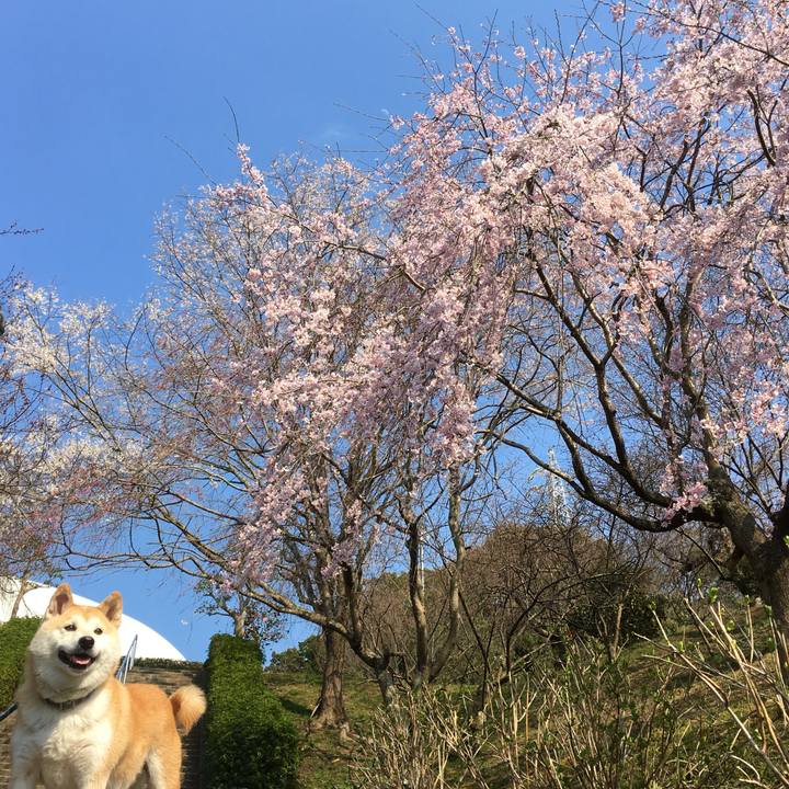 E660c046 1374 4de4 93f4 a3ef60c20de0