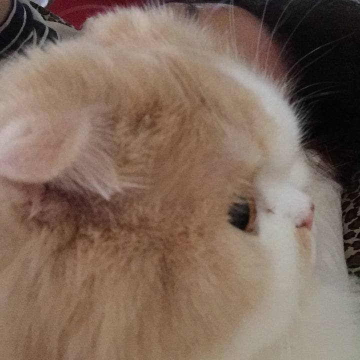 E660dfd7 e1f3 41f7 9aff 9cfc3cecda19