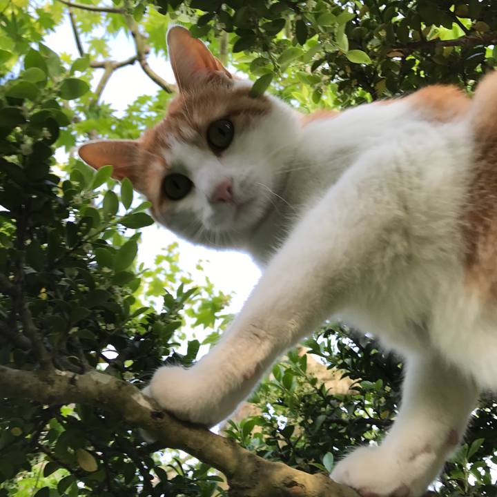 E6615e03 e6c5 409c 8155 8865dc0fc8be