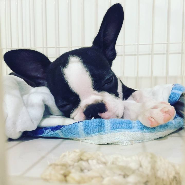 E6618bc8 817d 41f9 98b5 176b2ac4439e