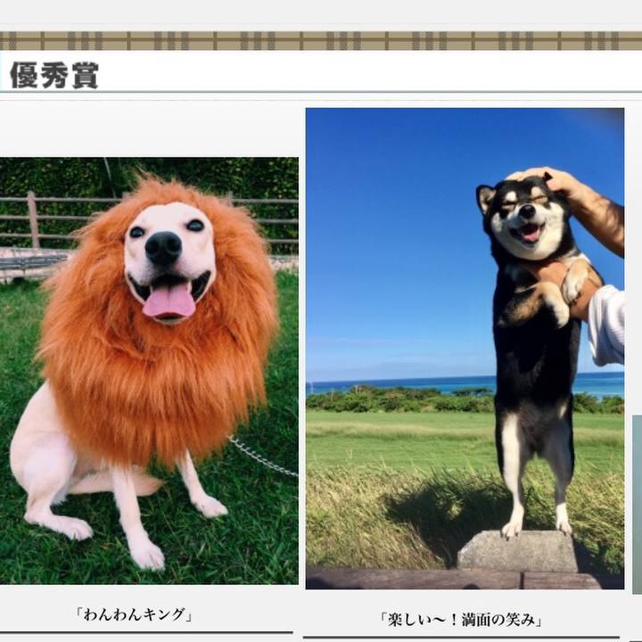 E661fb69 f2ac 4ebb 8f90 b6cf7246143d