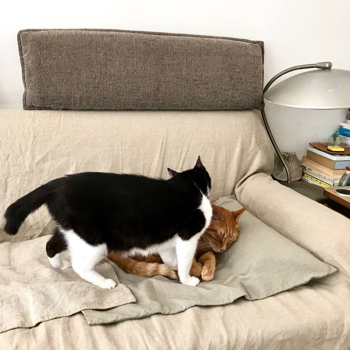 E66229f7 1cab 47c2 903d 02b966caae87