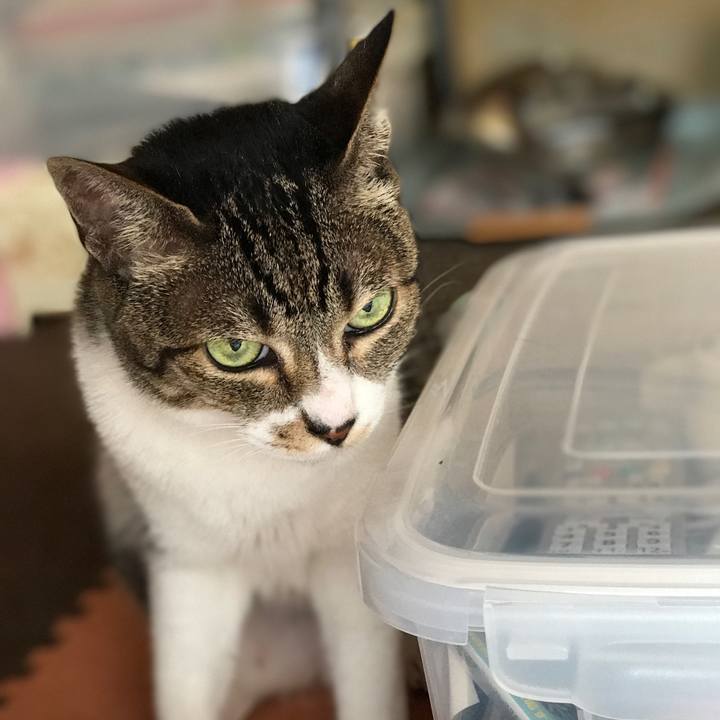 E6629f68 170c 4cb5 a234 2fe8ebb8eeea