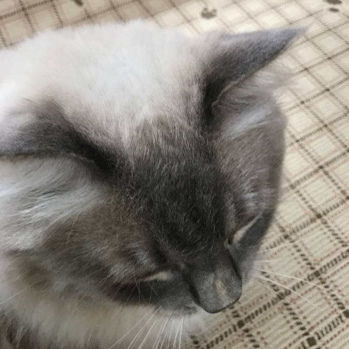 E662c586 e3d9 497d bb09 e08e13a1eefb