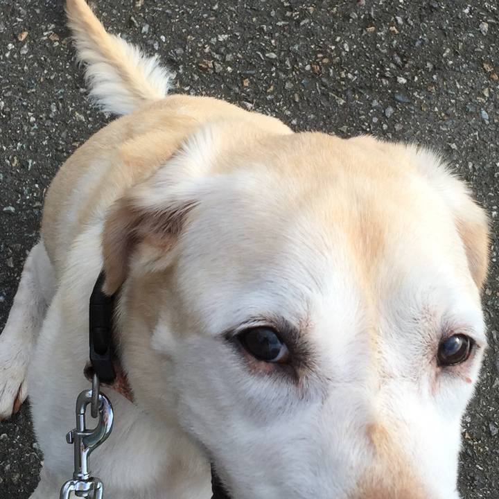 E662f341 bdcc 4c52 ad34 532874392455