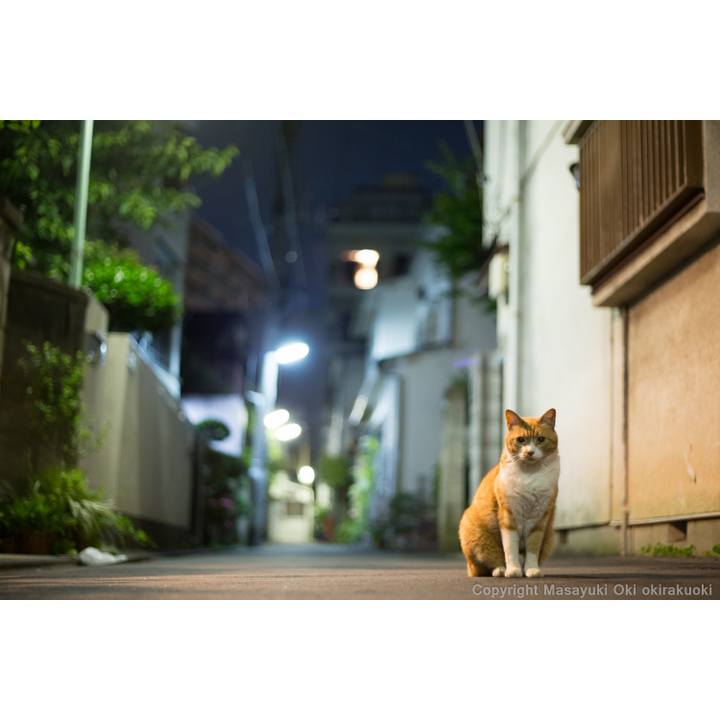 E6633418 a934 4967 844f 6ae8367f0083