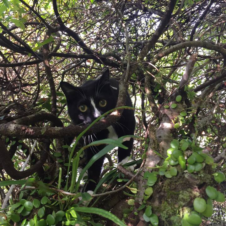 E663f766 36b7 41ad 920e 40ca03db816e