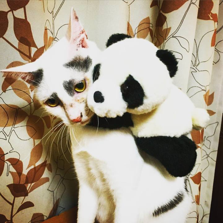 E6642d67 2388 4abe a08d 39a8009882df