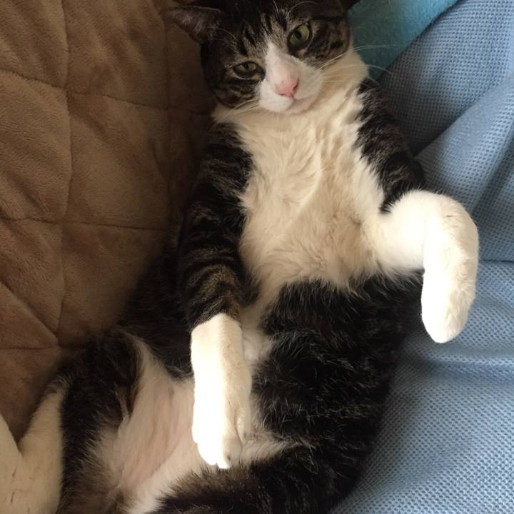 E6647965 9002 4d5b 835b 15da6f23ce1f