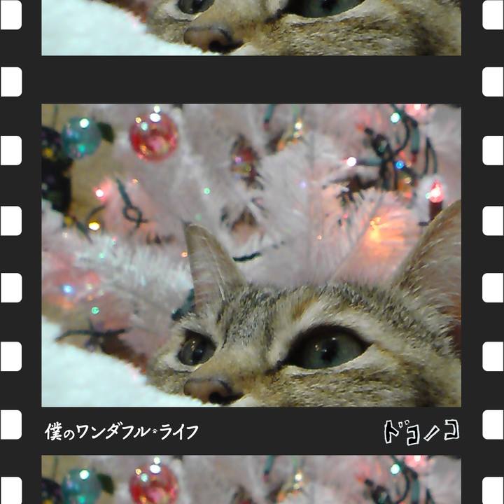 E664f11b b5c5 468c 9973 c4ce55a8802d