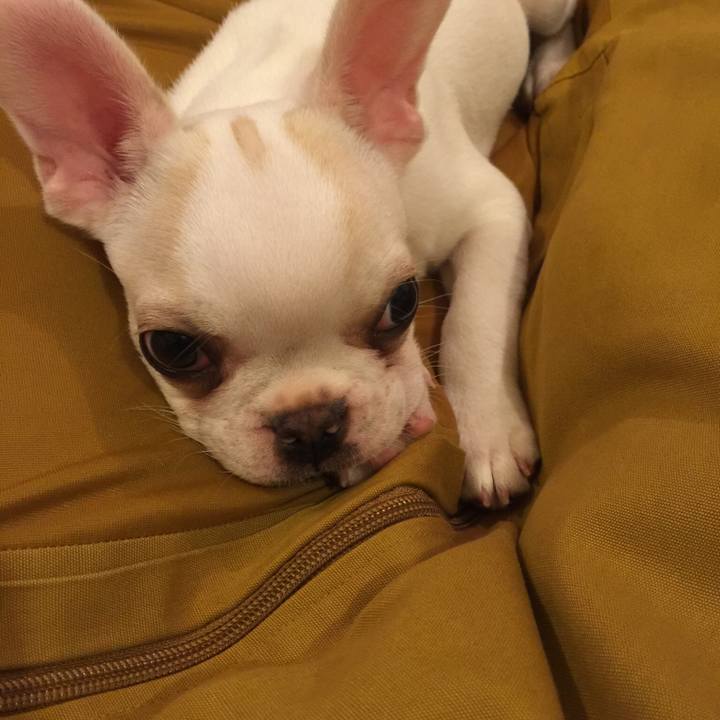 E6651548 391e 46c6 9e78 9d371c94c30f