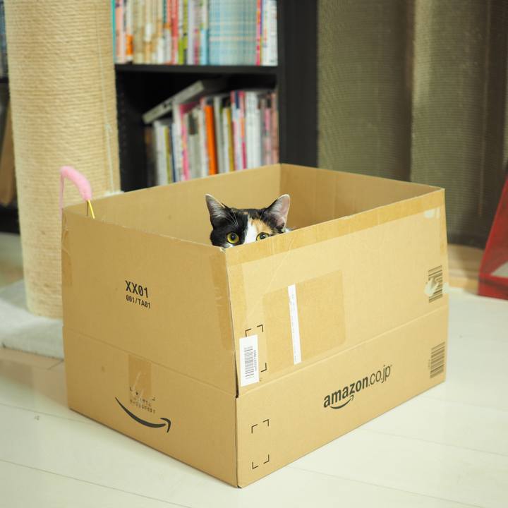 E66521e7 2513 4047 9a1b a537f39219cb