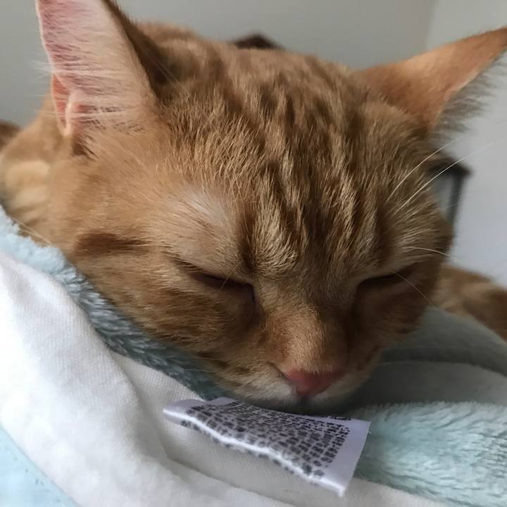 E6655982 0135 4f15 a518 32ef1948592c