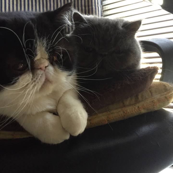 E66597e2 3a2d 4814 9ffc 0a47880e7c34