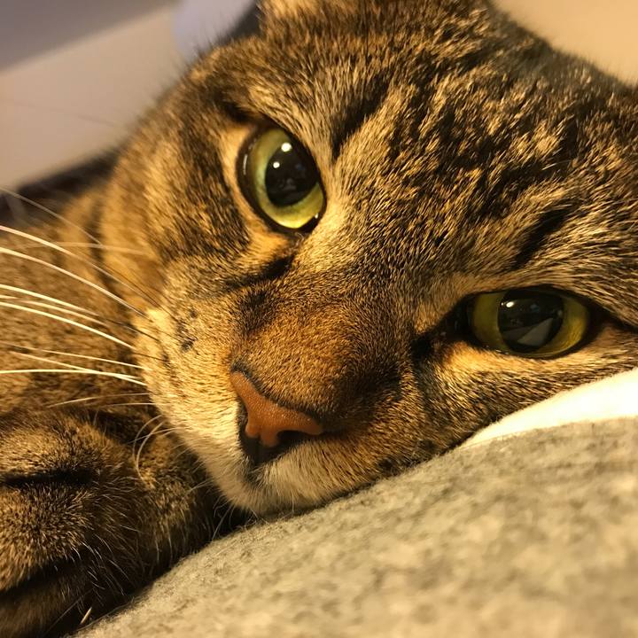 E665d1bc d0fe 475f 98e2 a6c0a499f012