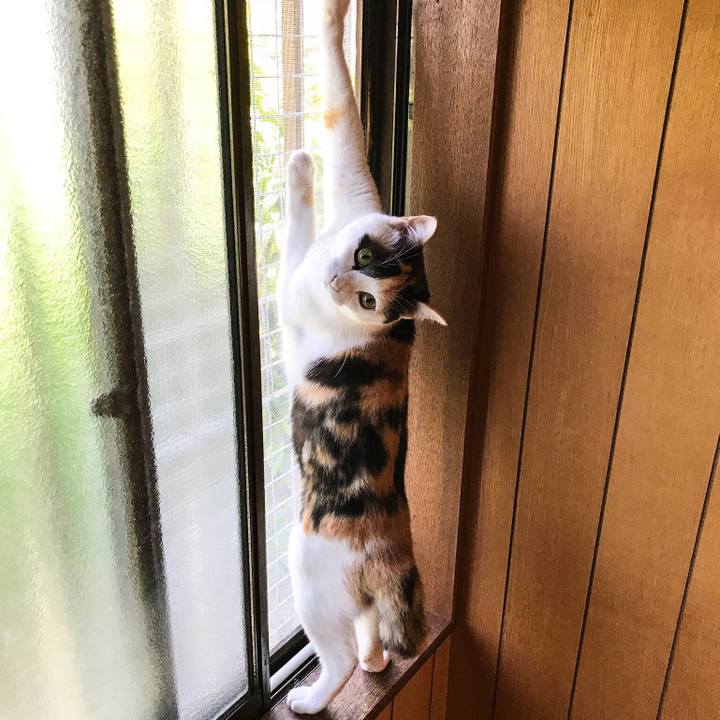 E666564e 239d 42cc 8a2c bd74a9fcb5af