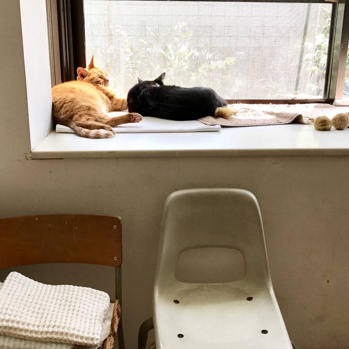 E6668058 413c 49ed 9247 96a84924762f