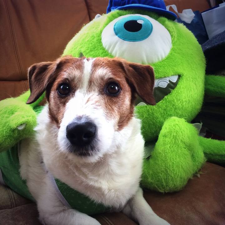 E6676bd8 51a4 4f88 b174 94fded508380