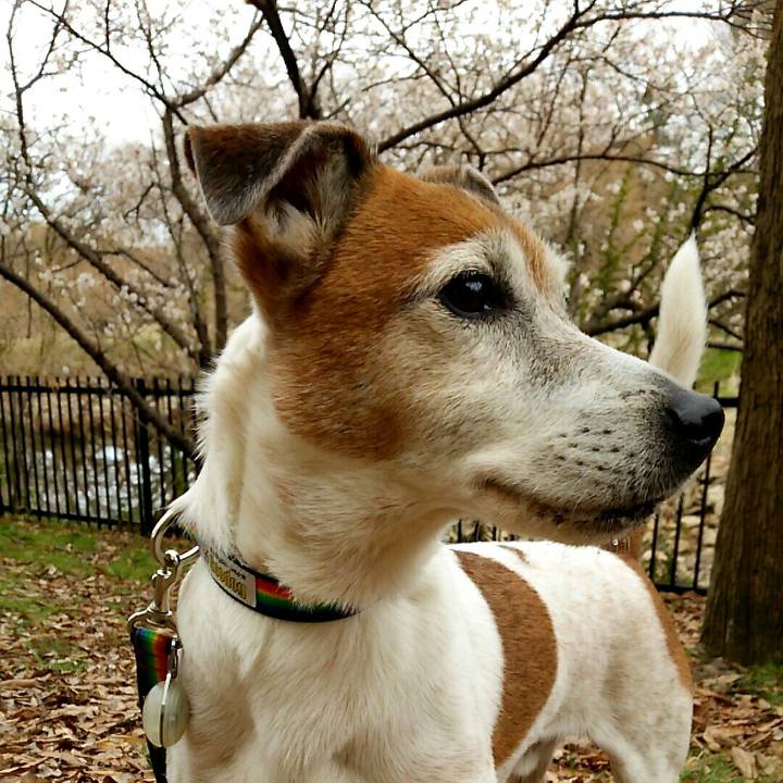 E66791f2 3105 478f a5e1 b82dbb67d055