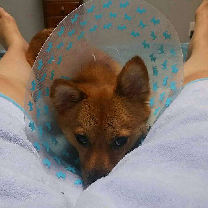 E667bc97 9294 4287 b3d1 bee9f4977c27