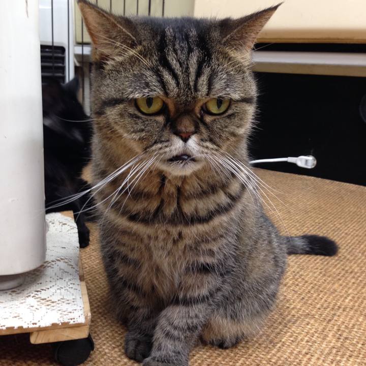 E668ceb0 7643 4751 83e0 e354ce59dc5f