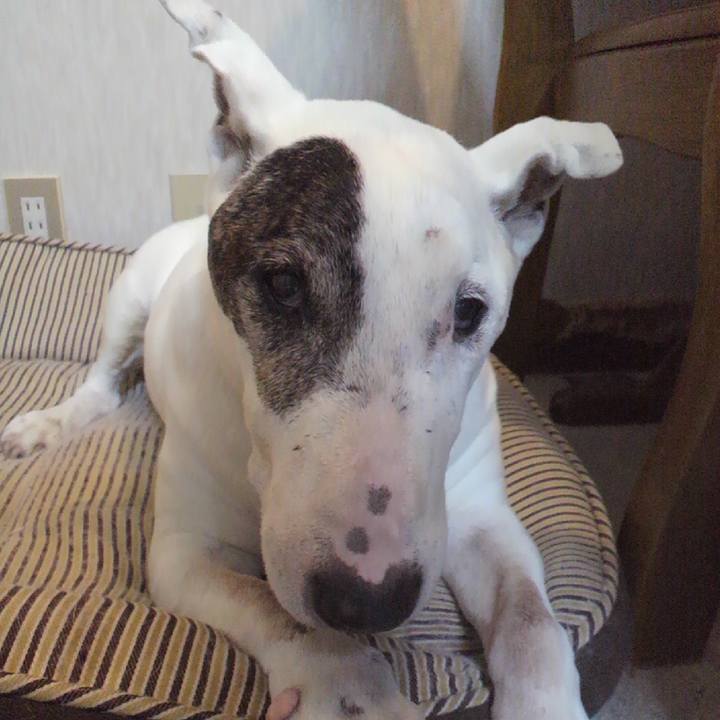 E668eb0a d777 4e45 80e5 d1e1b1499ef1