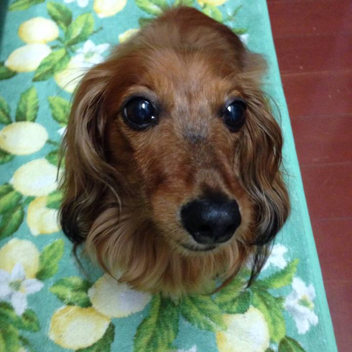 E66913da d322 4ff5 8e23 4dac13806825