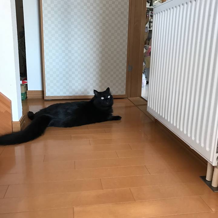 E6693a57 1302 49a1 9927 6107d246ee1c