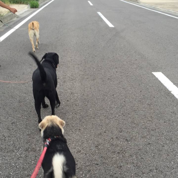 E66974d2 08b3 4ed9 af9b 34d1756619fb