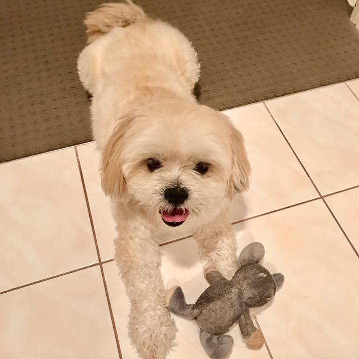 E66ac04e ad11 4c35 9e86 00009cbac970