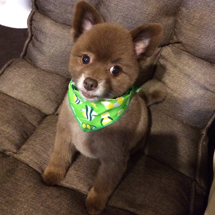 E66afca8 ad67 4e76 8e80 1c108e937d90