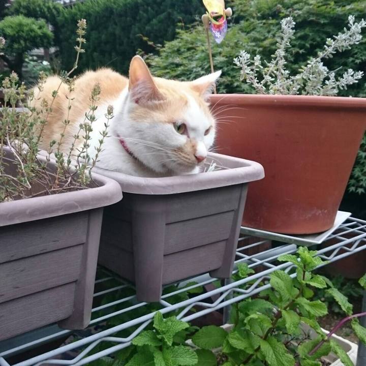 E66be955 3e57 4574 ab84 149046647e8c