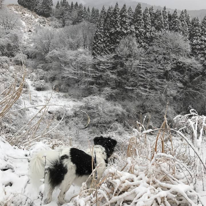 E66c5039 81fe 4c4e 84b5 6320a115d948