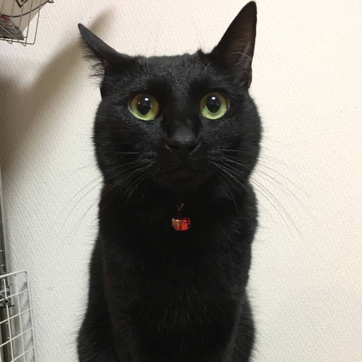 E66c55bd bde0 49d8 a5bd 1e933b17a8da