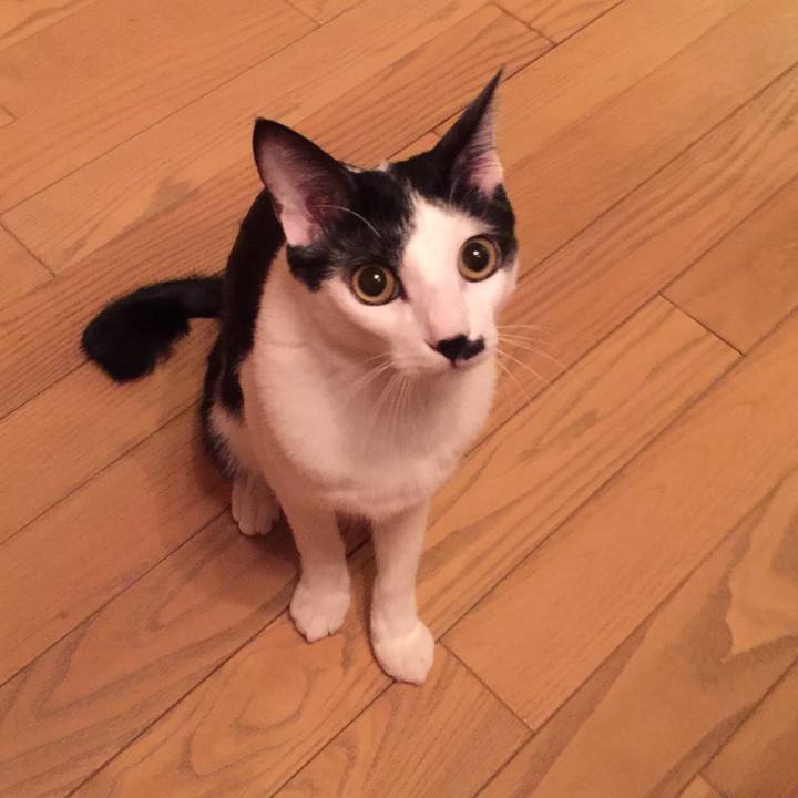 E66c7633 c253 4f19 a414 f1d981c241d6