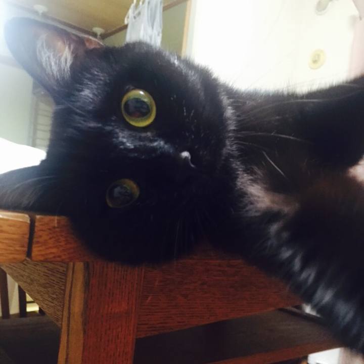 E66c8e0f eb1b 4589 b5cc 0797cc1b1b76