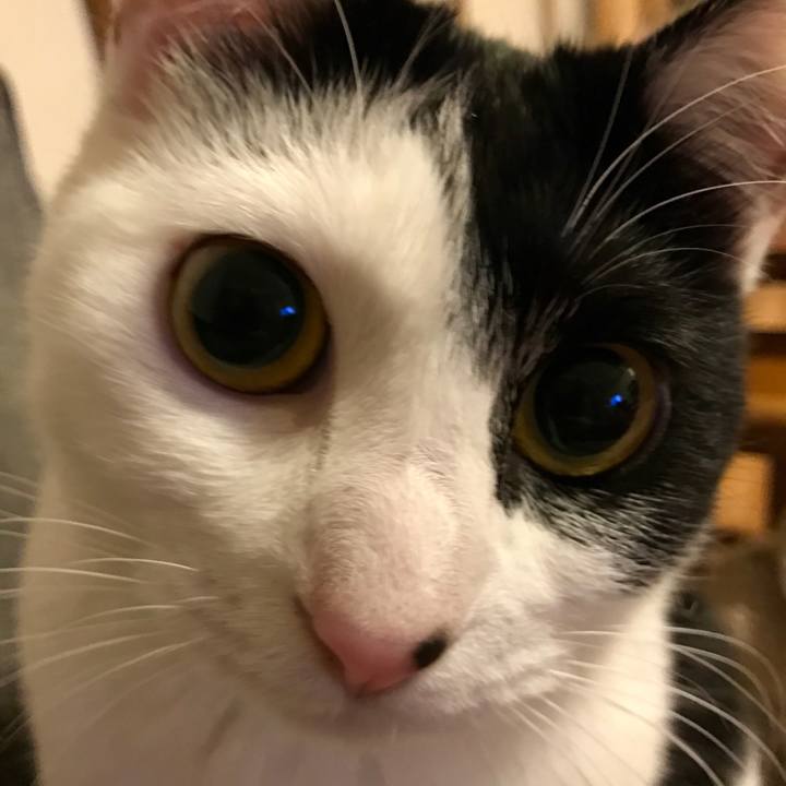 E66cd69f 5db6 49d1 a95e dfe554c30a26