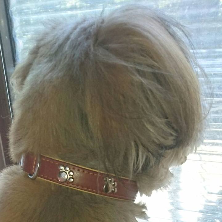 E66ce806 2e9e 4064 af96 87640aa705e4