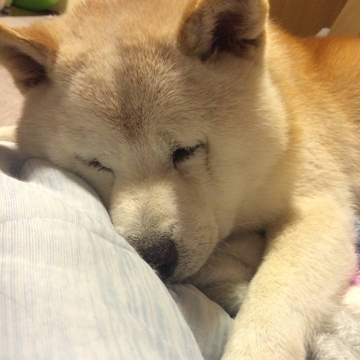 E66d4706 4e09 4f55 bf18 6d451c022dfc