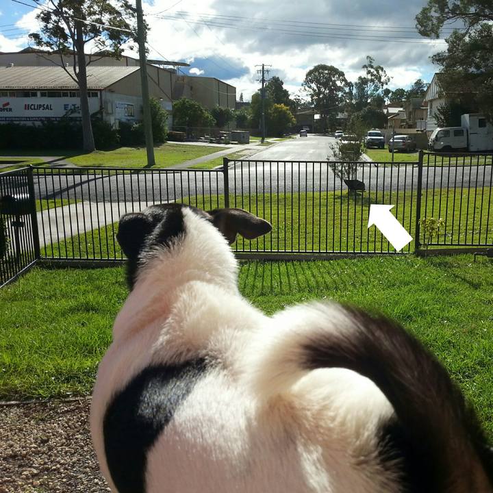 E66de5b7 d843 4b60 af9a fbb8f379941b