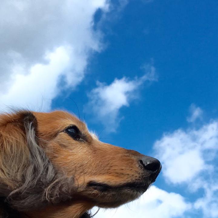 E66e181b fdba 4ec1 b0ab 47cf66e07f19