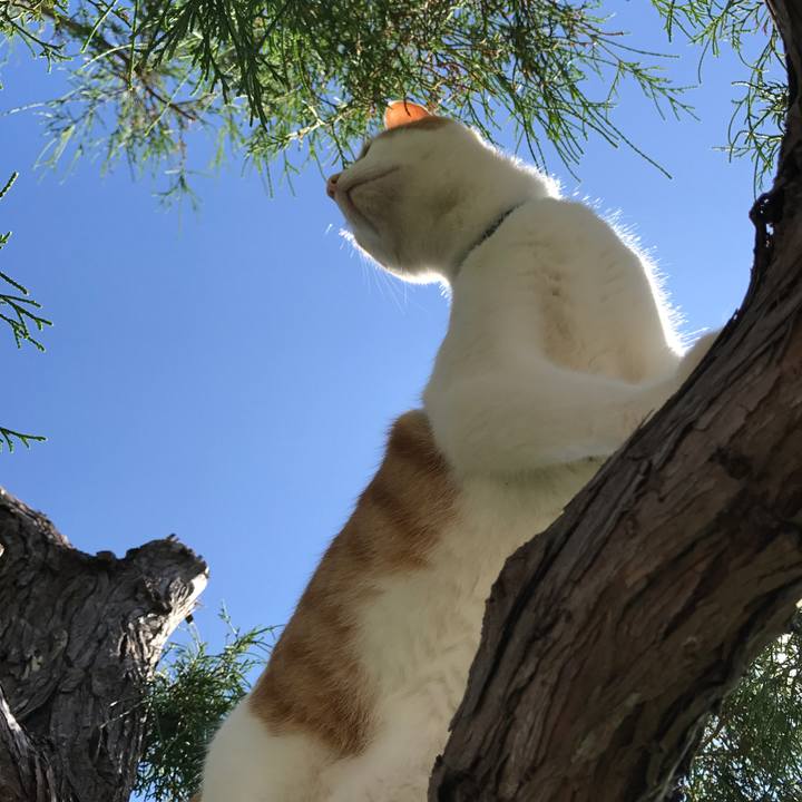 E66e29bb 79d7 4731 9c99 34406482edea