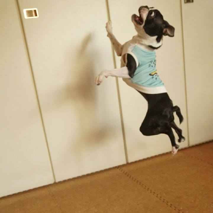 E66e2b79 af43 4434 8481 77bbfe30628f